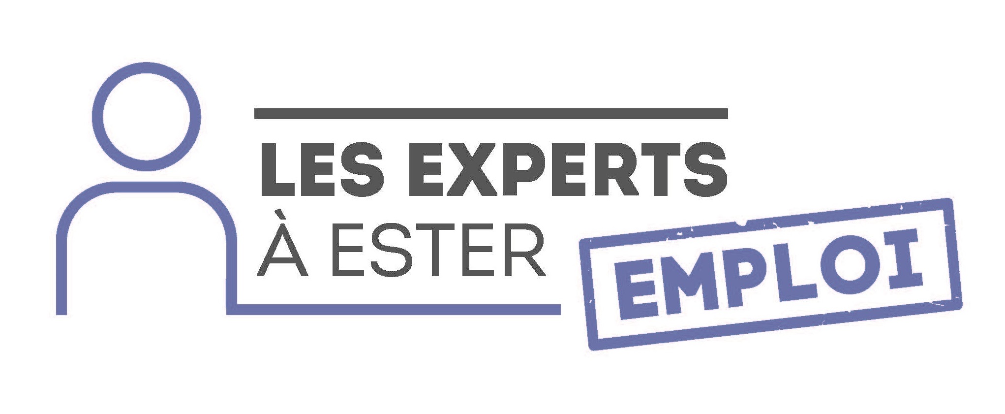 Experts Emploi