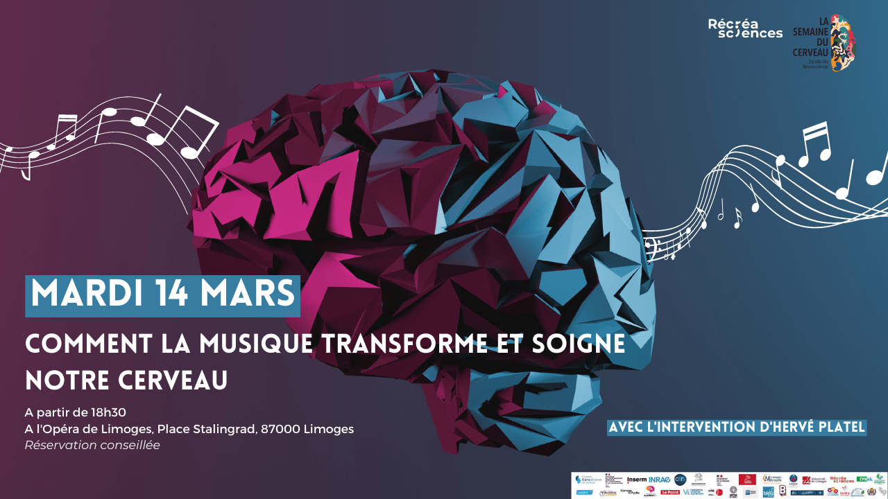 Conférence : comment la musique transforme et soigne votre cerveau