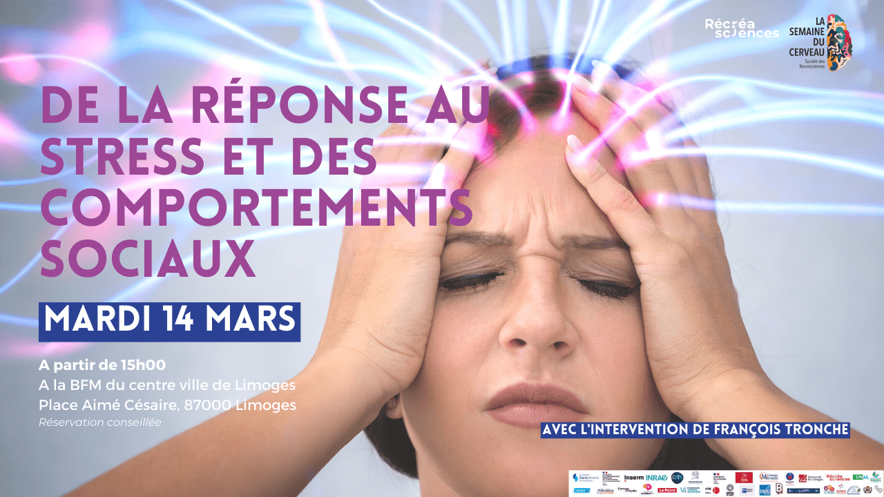 "De la réponse au stress et des comportements sociaux"